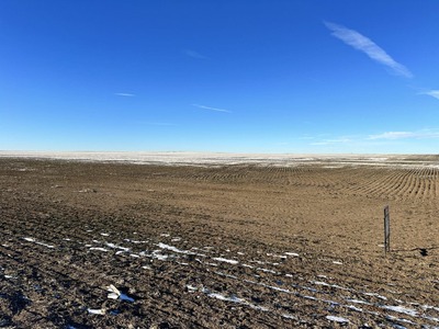 Kit Carson County CO Dryland Auction