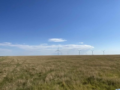 Kit Carson County CRP/Hunting land