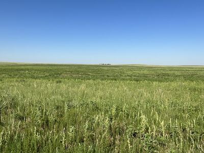 Kit Carson County CREP Through 10/2028