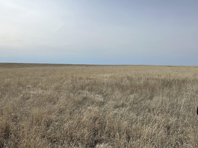 397+/- available acres Kiowa County, CO CRP
