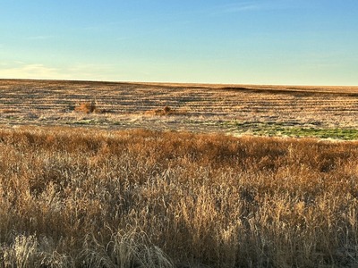 Cheyenne County Colorado Menzel Dryland Farm