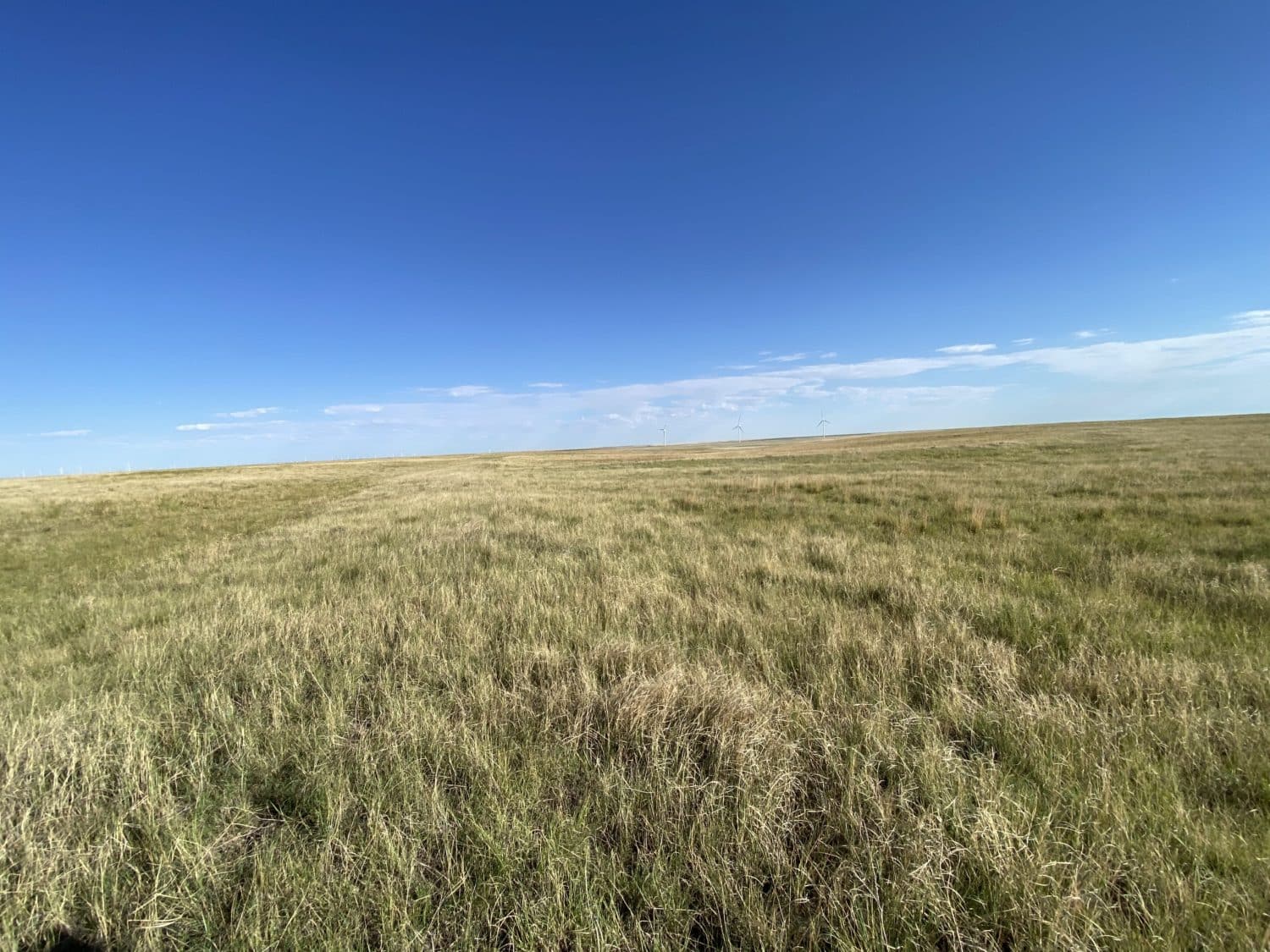 Kit Carson County CRP/Hunting land - RXL Colorado | Rocking X Land ...